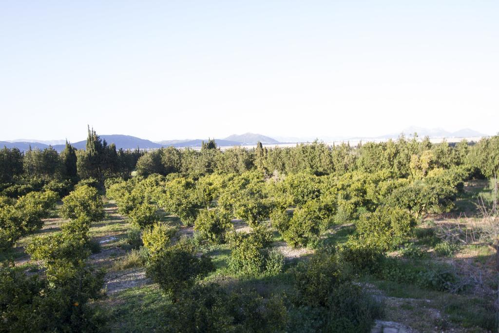Mon Boutique Hotel Pollença Eksteriør bilde